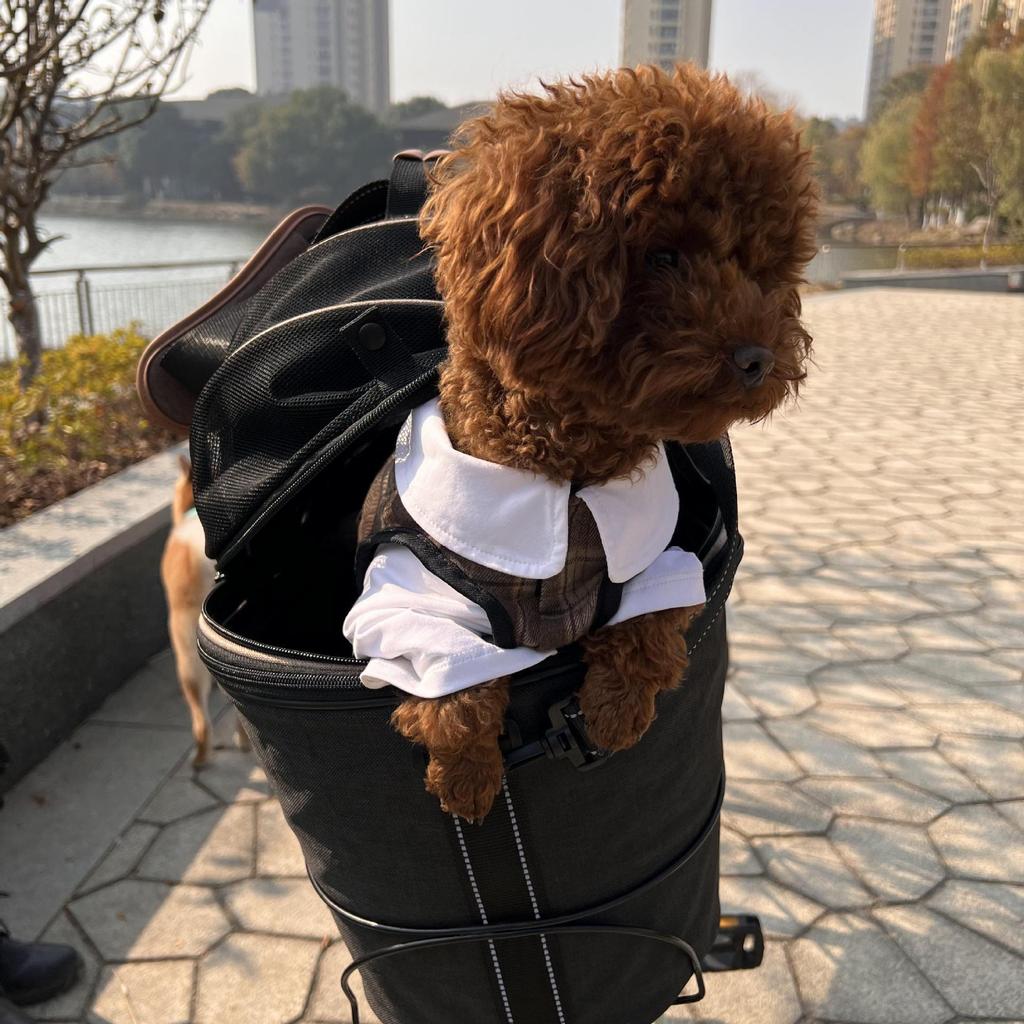 Large Capacity Foldable Blue Canvas Pet Carrier for Bicycle and Scooter