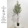 Olive Tree Potted Plant - Indoor Decor Simulation for Living Room