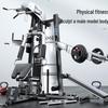 Leshion 3-Station Home Gym System