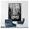 Cattle  Print On Canvas Wall Art Pictures Animal Painting for Living Room Home Decor Modern Abstract Scottish Highlander