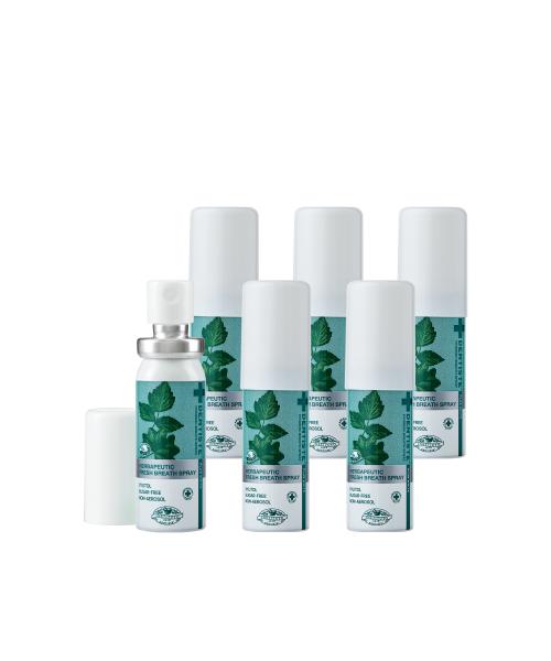 Dentiste Breath Spray 15ml x 6