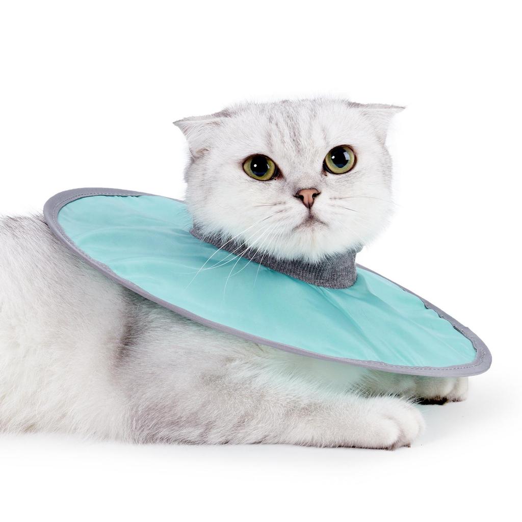 White Cat Recovery Collar: Elizabethan Anti-Lick Post-Surgery Bib