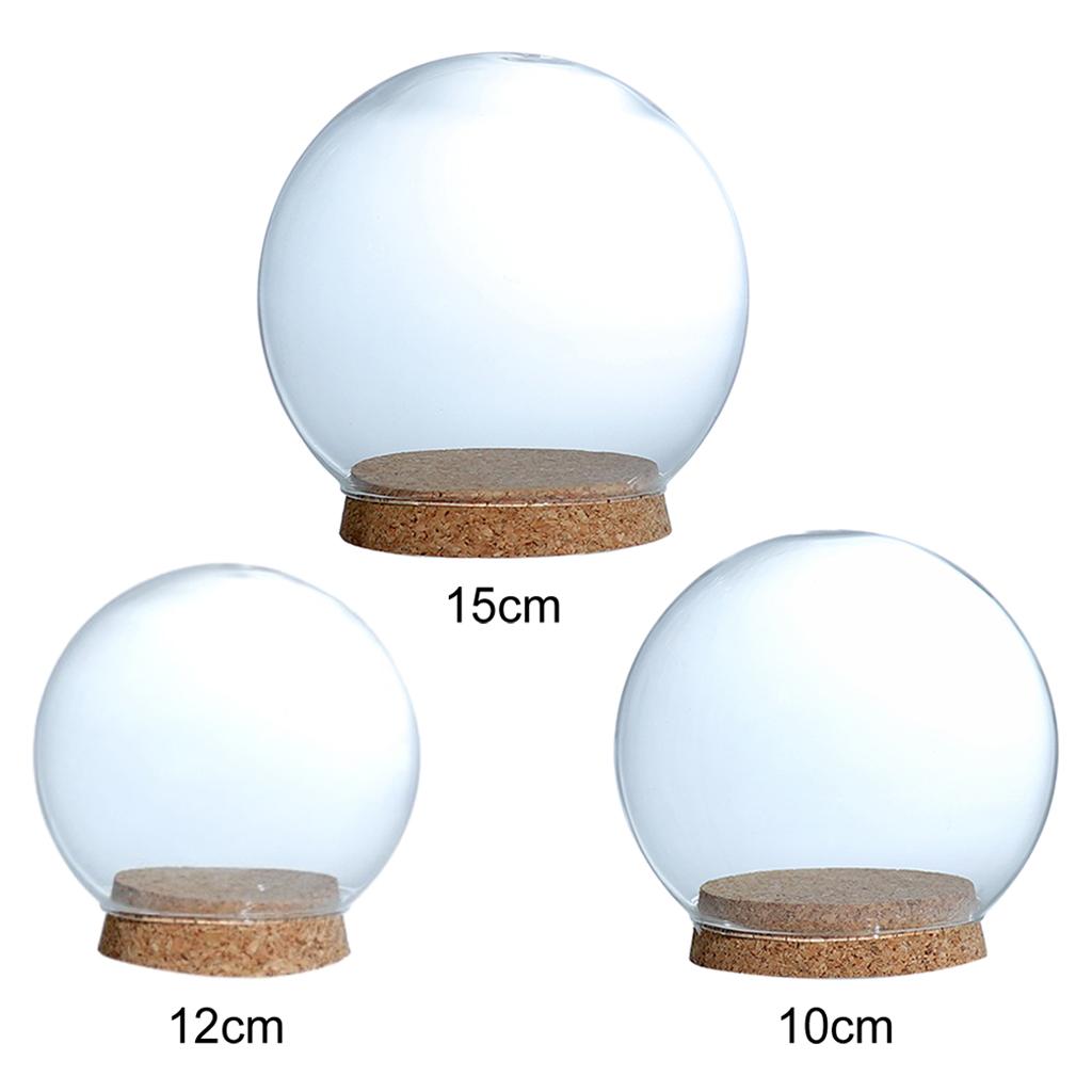 

Decorative Glass Dome with Wood Base DIY Dry Flowers Fairy Lights Ornament 10cm