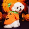 Halloween Pumpkin Dog Costume - 2021 Bestseller Autumn/Winter Casual Wear