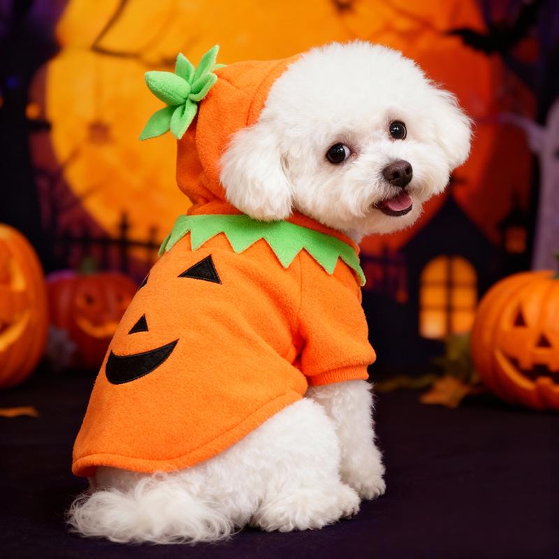 Halloween Pumpkin Dog Costume - 2021 Bestseller Autumn/Winter Casual Wear