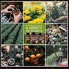 Soil Plant Flower Fertilizer Activation Treasure Activator Harmless 100g-200g