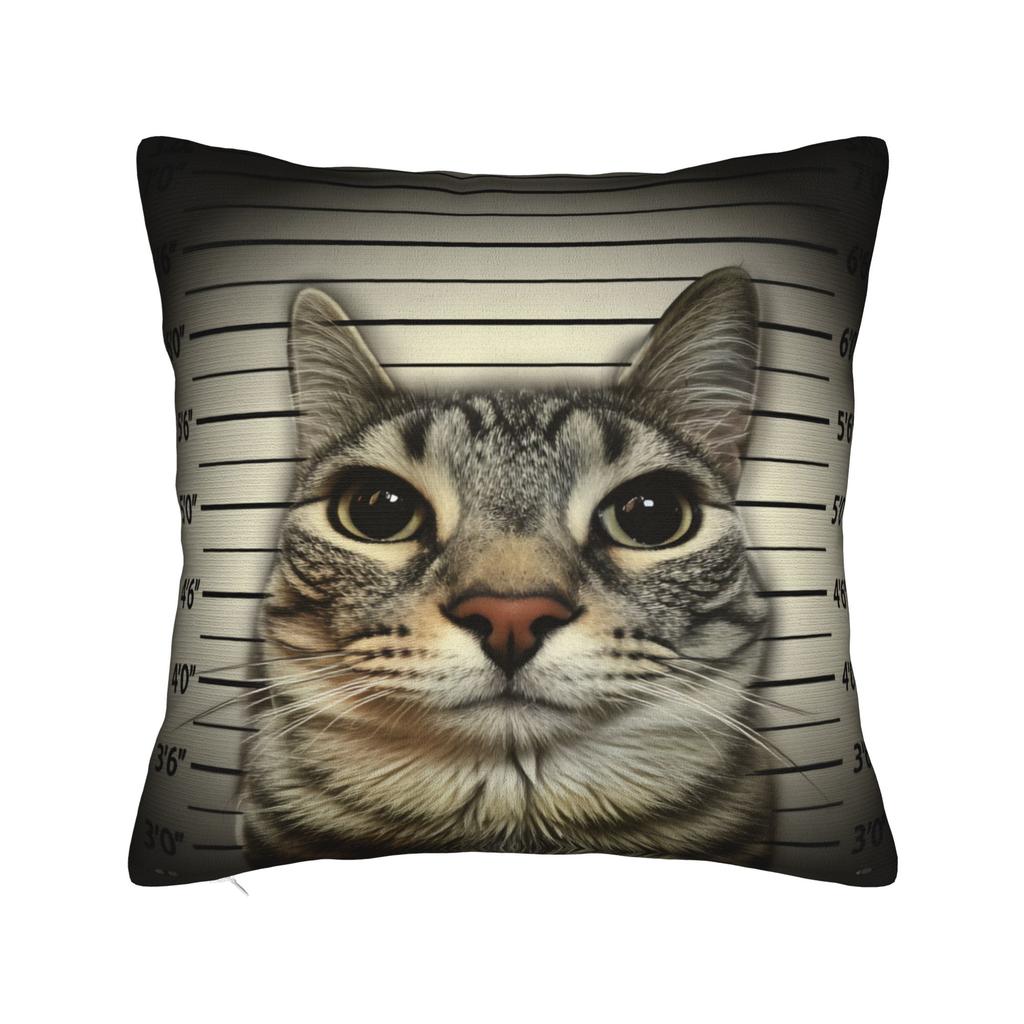 Katzen-Memes Lustiger Meme-Druck Kissenbezug Weicher Kissenbezug für Sofa Auto Heimdekoration Modischer Kissenbezug