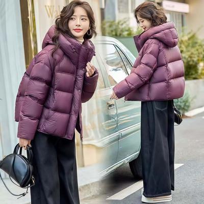 Short Hooded Loose Thickened Warm Puffer Jacket