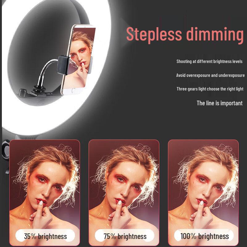 Godox LR180 LED Ring Light for Live Streaming