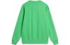 Li Ning X Disney Rex Collection, Long Sleeved Crew Neck Loose Fit Fleece Lined Sweatshirt Unisex Mystic Realm Green AWDU497-5
