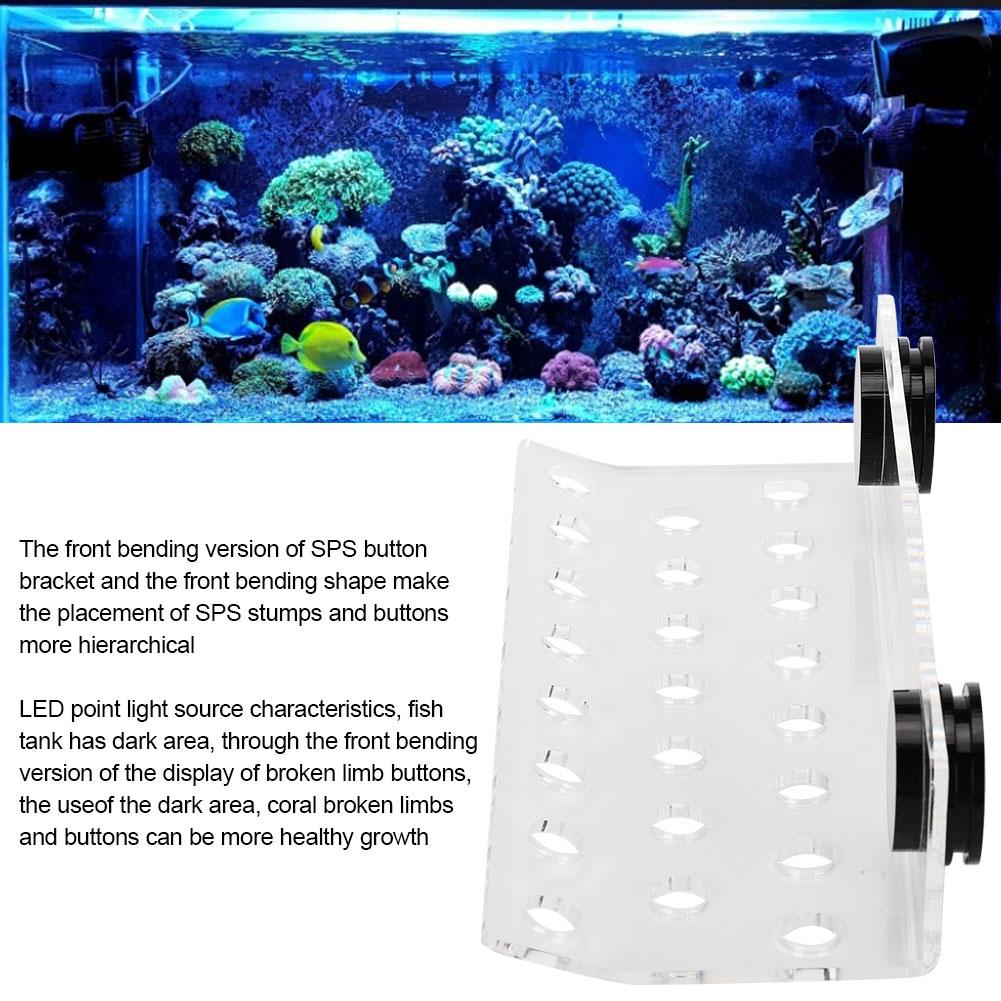 Aquarium Marine Coral Racks Bracket Holder Fish Button Frame Enhanced Suction Cup