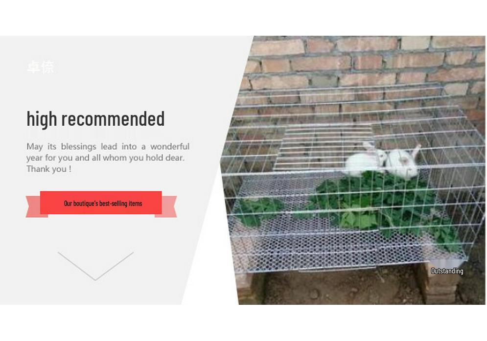 Large Outdoor/Indoor Cage for Rabbits, Chickens, and Pigeons - Model 862VxSFvH7