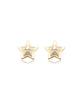 Baebae Everyoung Star Earring (Gold)