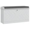 Shoe Cabinet With Bench Adjustable Shelves And Cushioned Seat For 8 Pairs Of Shoes 80x26x48 Cm White