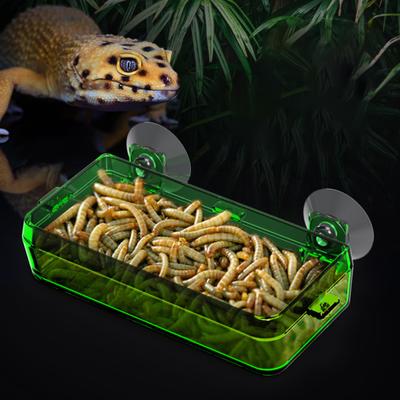 Reptile Transparent Feeder Anti-escape Food Bowl Worm Live Container With Strong Suction Cups Pet
