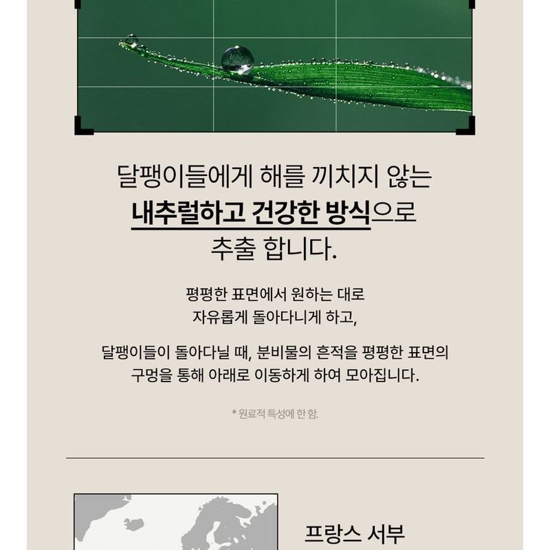 Nature Republic Snail Solution Skin Booster