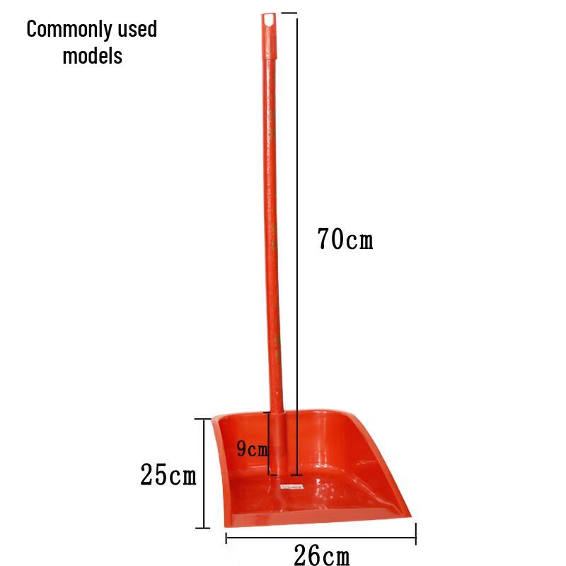 Ally Plastic Dustpan with Wooden Handle