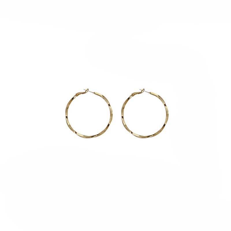 Korean Style Twisted Circle Earrings: European and American Niche Design, Cold Style Accessories