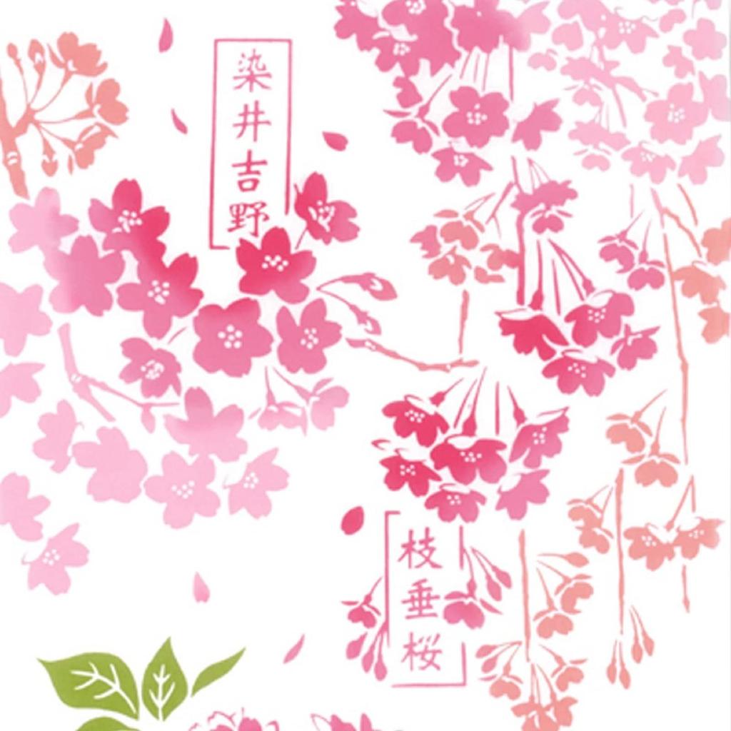 Miyamoto Towel Kenema Cherry Blossom Encyclopedia Hand Approximately 35 x 90 White (Miyamoto-towel) Towel, Pink, cm, 50178,