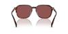 Sunglasses HC8383U CL912 DARK TORTOISE 55 [Coach] TORTOISE/CARAMEL