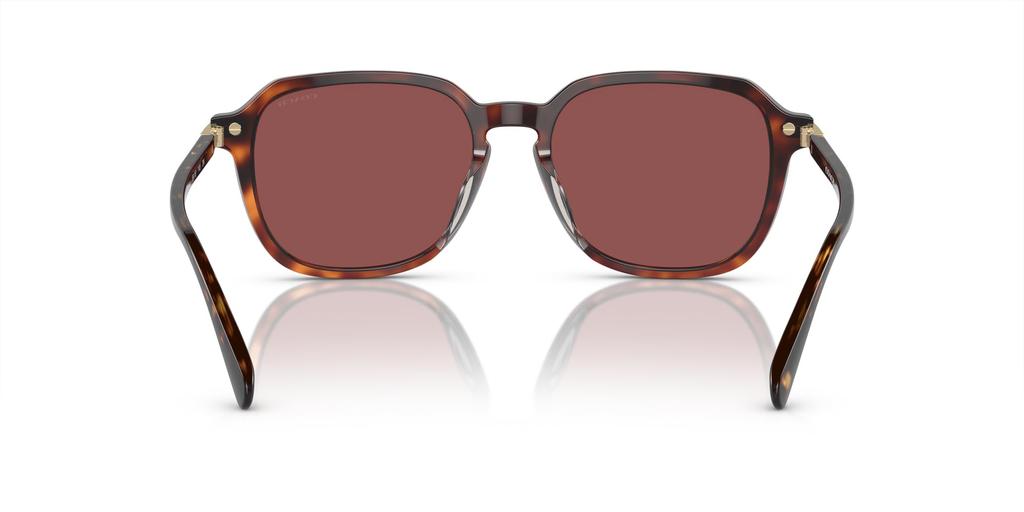 Sunglasses HC8383U CL912 DARK TORTOISE 55 [Coach] TORTOISE/CARAMEL