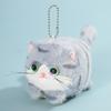 Le Ji Er Capybara Plush Toy Keychain with Wagging Tail & Bubble Blowing Pendant