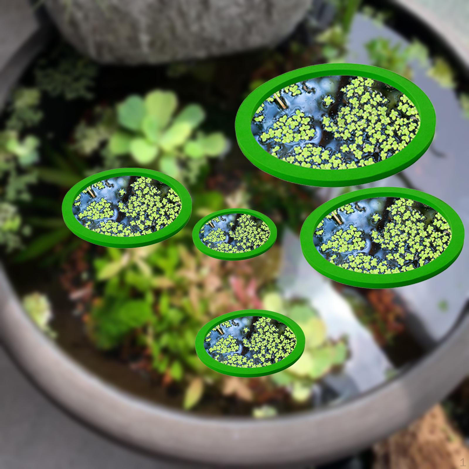 

5 шт. Аквариумный плавающий загон для растений для хранения растений на месте зелёный