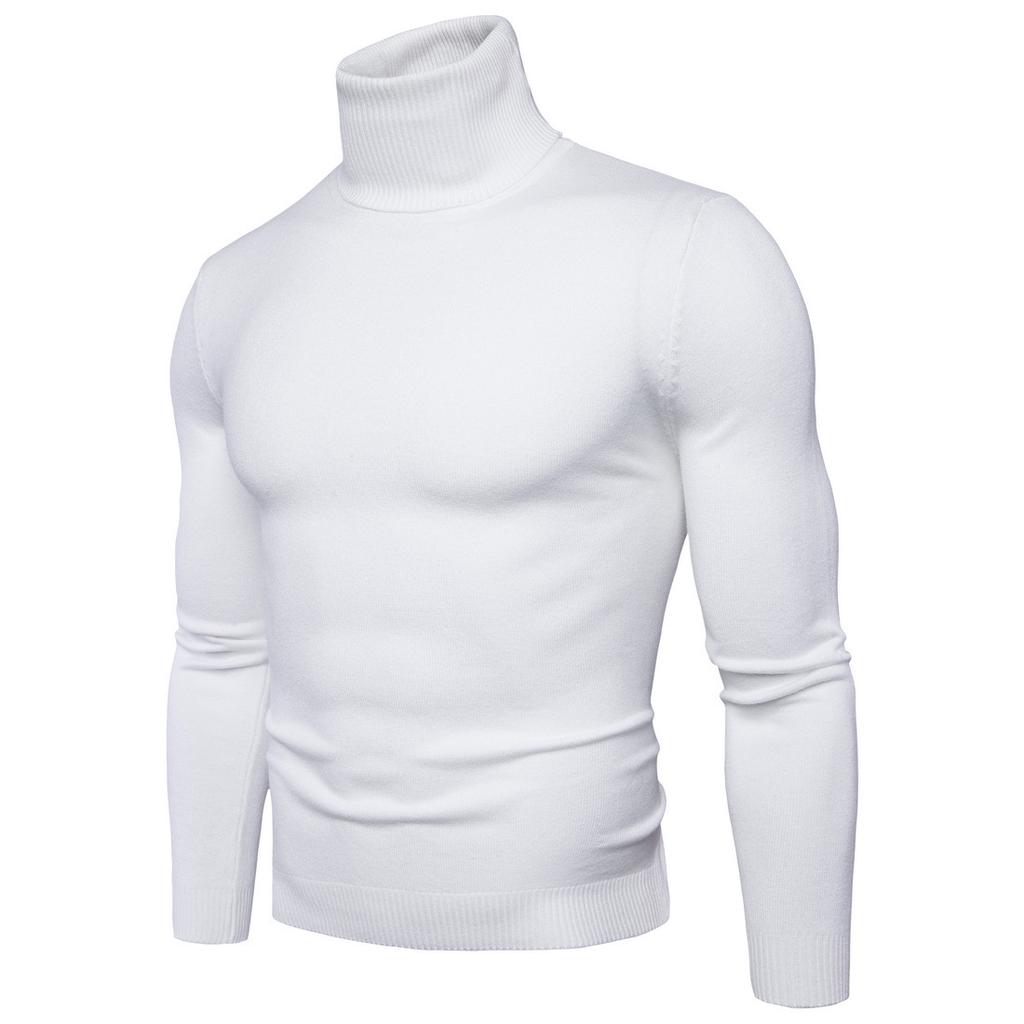 Sheath Slim Fit Men Sweater Knitted Pullovers Turtleneck Jumpers Solid Long Sleeve Slim Fit Basics Casual Standard Wool