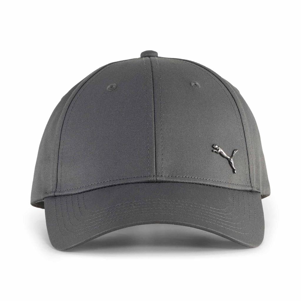 Puma Metal Puma Cat BB Cap Dusky Gray 02599409