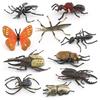 Insect Animal Model Pvc Collection For Educational Display And Collection Enthusiasts