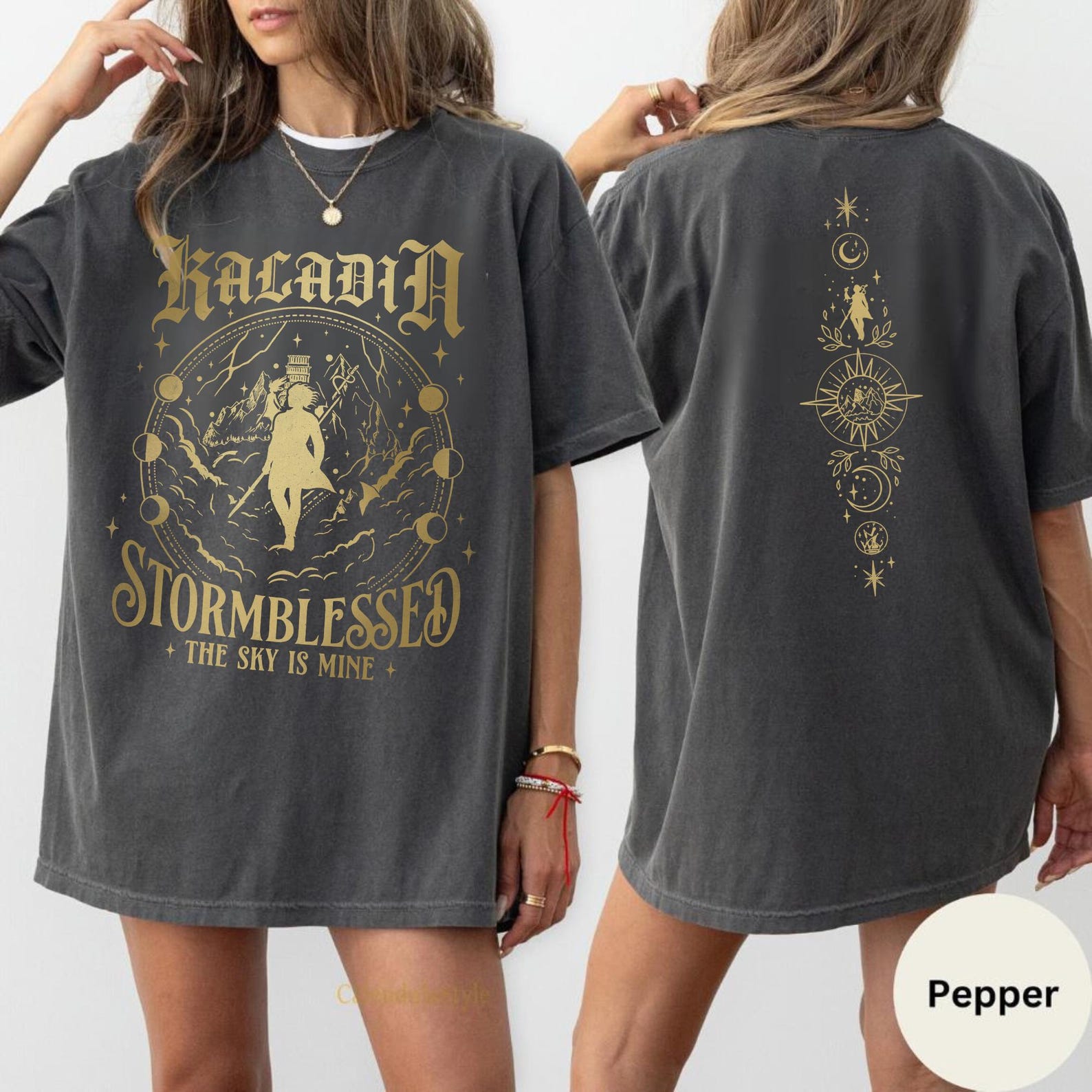 Kaladin Stormblessed Shirt, Fantasy Bookish Tee, Stormlight Archive Windrunner Shirt, Journey Before Destination, Bookish Merch 4XL