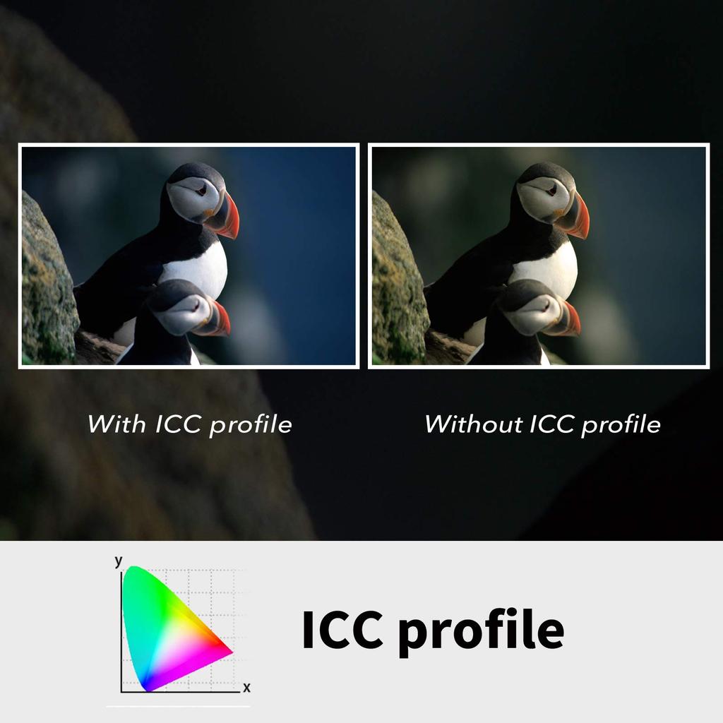 Plustek OpticFilm 8200i Ai scanner 7200 x 7200DPI Black Film/slide