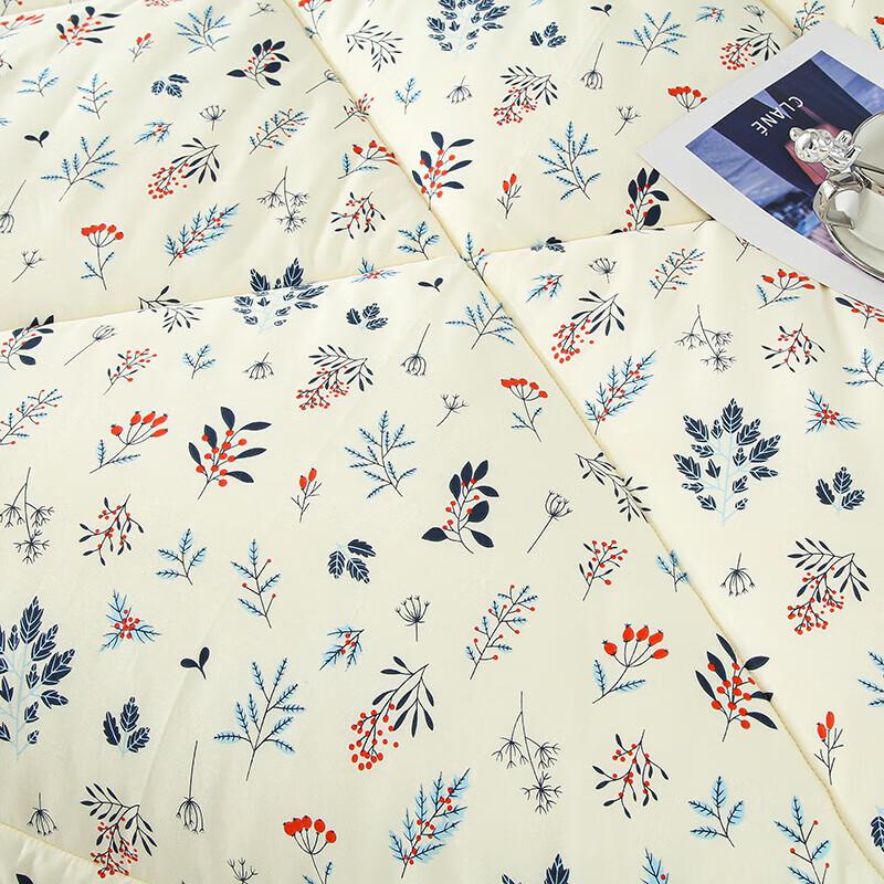 Jie Li Ya JLY-BLK221 All Cotton Printed Winter Quilt