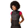 Regatta Dámská/Ladies Steren II Hybrid Jacket