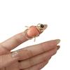 Punk Style Retro Insect Ring Macaron Color Enamel Beetle Ring Beetle Opening Ring  Decoration