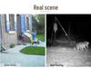 HD Infrared Night Vision Outdoor Hunting and Time-Lapse Camera