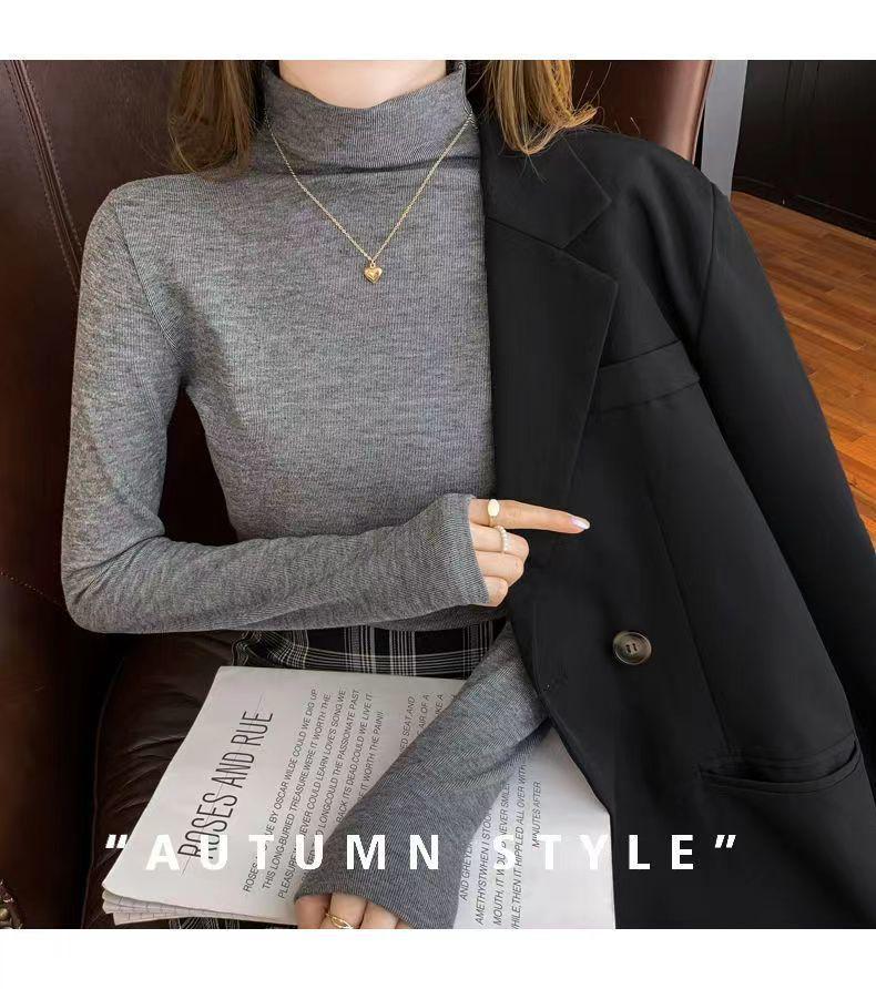 Women's Elegant High Neck Long Sleeve Winter Top