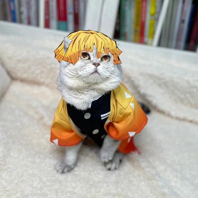 Demon Slayer Zenitsu Pet Cosplay wiosenne letnie ubrania dla kotów śliczny kociak ubrania dla kota Zenitsu odzież dla psów