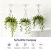 360 Degree Rotatable Wall Hooks Removable Hanging Hooks for Home Kitchen Bathroom Bedroom and Garden