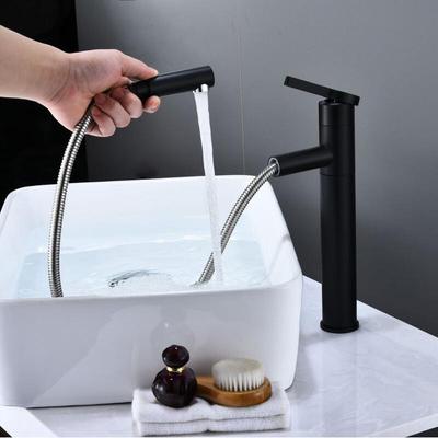 TLXT Rotatable Hot & Cold Pull-Out Basin Faucet