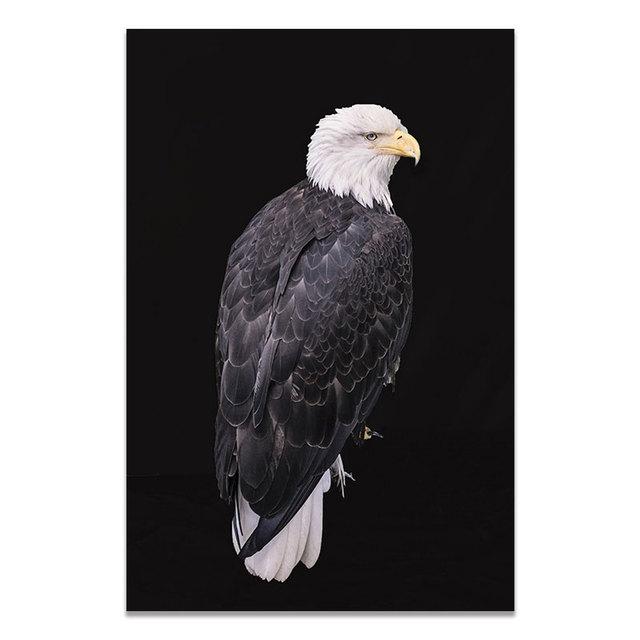 

Африканська тварина Настінне мистецтво Лев Слон Олень Зебра Картини на полотні Плакати та принти Настінні картини для домашнього декору у вітальні 21*30cm