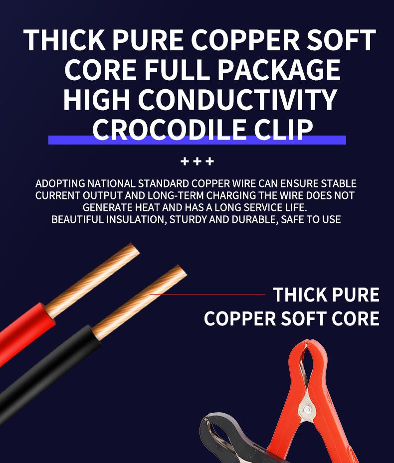 Smart Pulse Repair 12V Car Battery Charger, Nine-Stage Lead-Acid Charger