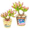 Montessori Bouquet Girl Block Bricks Blocks Flowers for Children Girls 8 10 Years Old Mini Blocks Bricks Educational Brick Toys