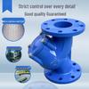 DN80 Gusseisen Y-Form Flanschfilterventil