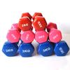 Longchan Hexagonal Dip-Coated Dumbbell