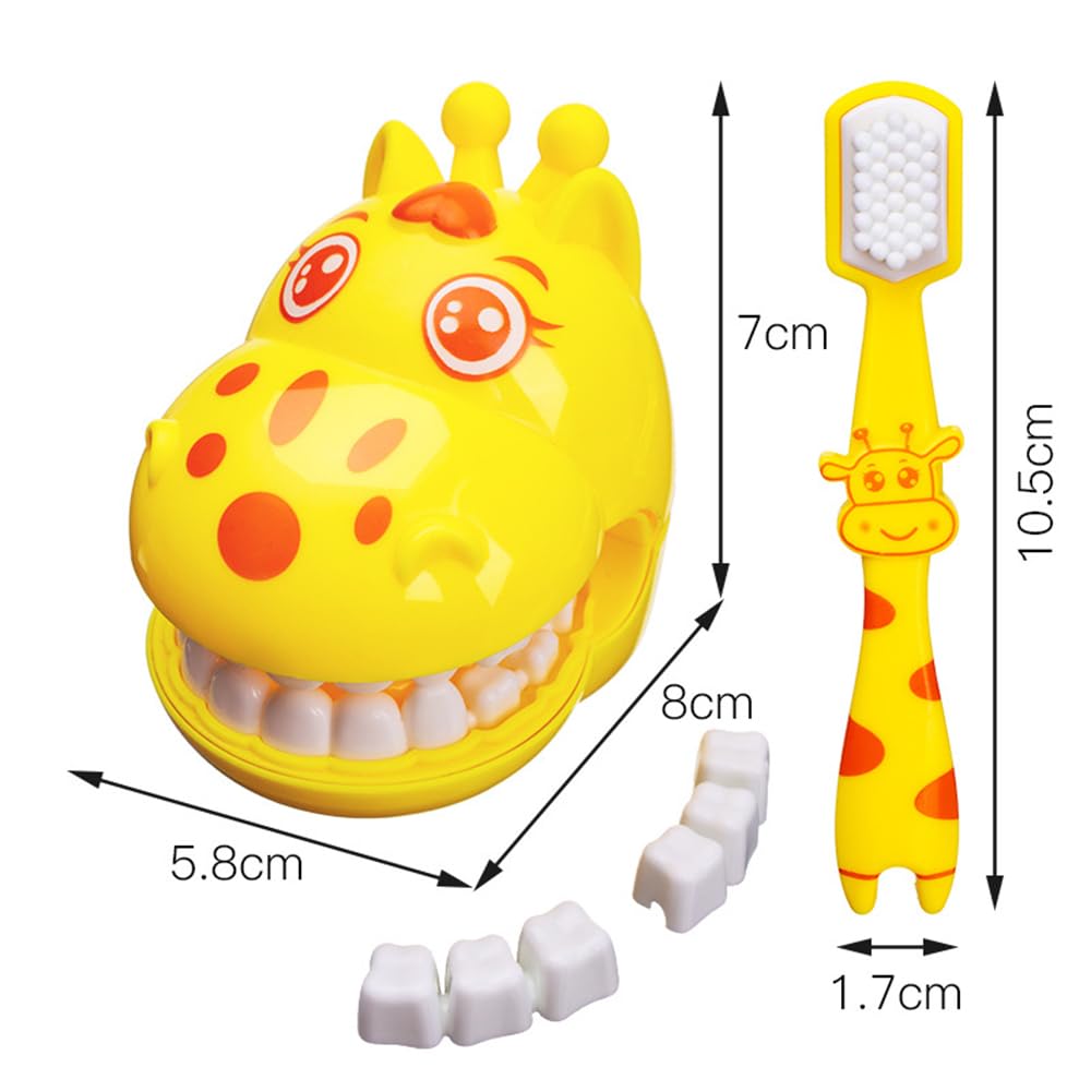 Teeth Model Toy, Removable Teeth Mold, Toothbrush Toy, Children's Playhouse, Early Education Toy, Dentist Role-Play Prop, Suitable for Ages 3 and Up