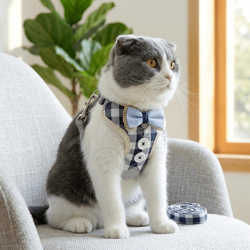 Adjustable Strap Cat Harness Set Adjustable Cat Leash Kitten Daily Activity