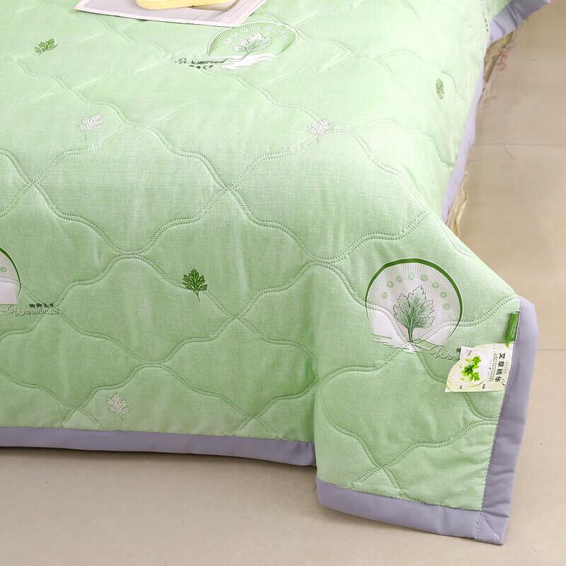 Qingqing Wormwood Antibacterial Quilt