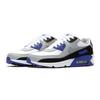 Air Max 90 Hyper Royal GS CD6864-103