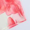 2025 Spring Women's Sweet Loose Chiffon Ruffle Top